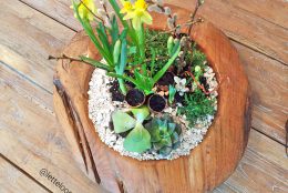 Liebevoll gepflanzte Osterdeko – DIY
